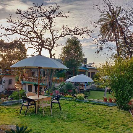 Forest Eco Lodge مونت ابو المظهر الخارجي الصورة