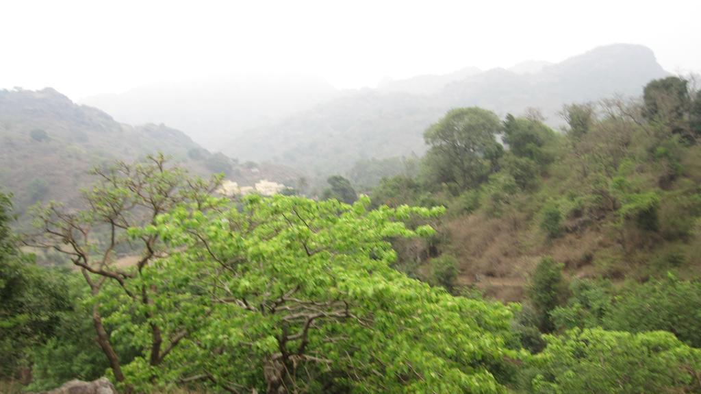 Forest Eco Lodge مونت ابو المظهر الخارجي الصورة