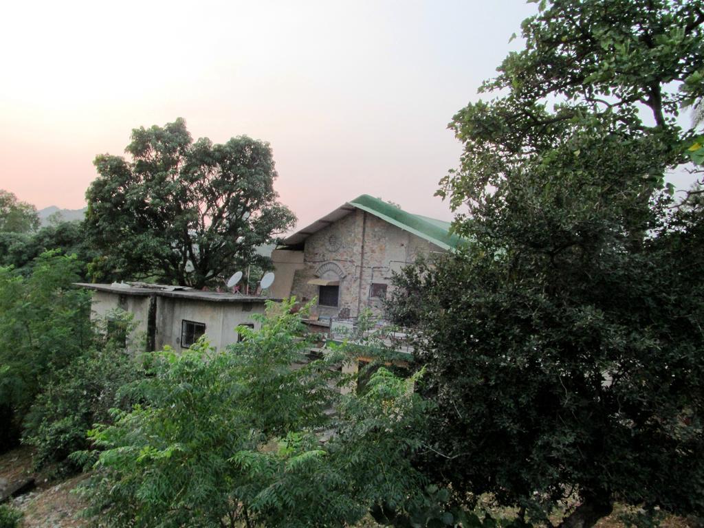 Forest Eco Lodge مونت ابو المظهر الخارجي الصورة