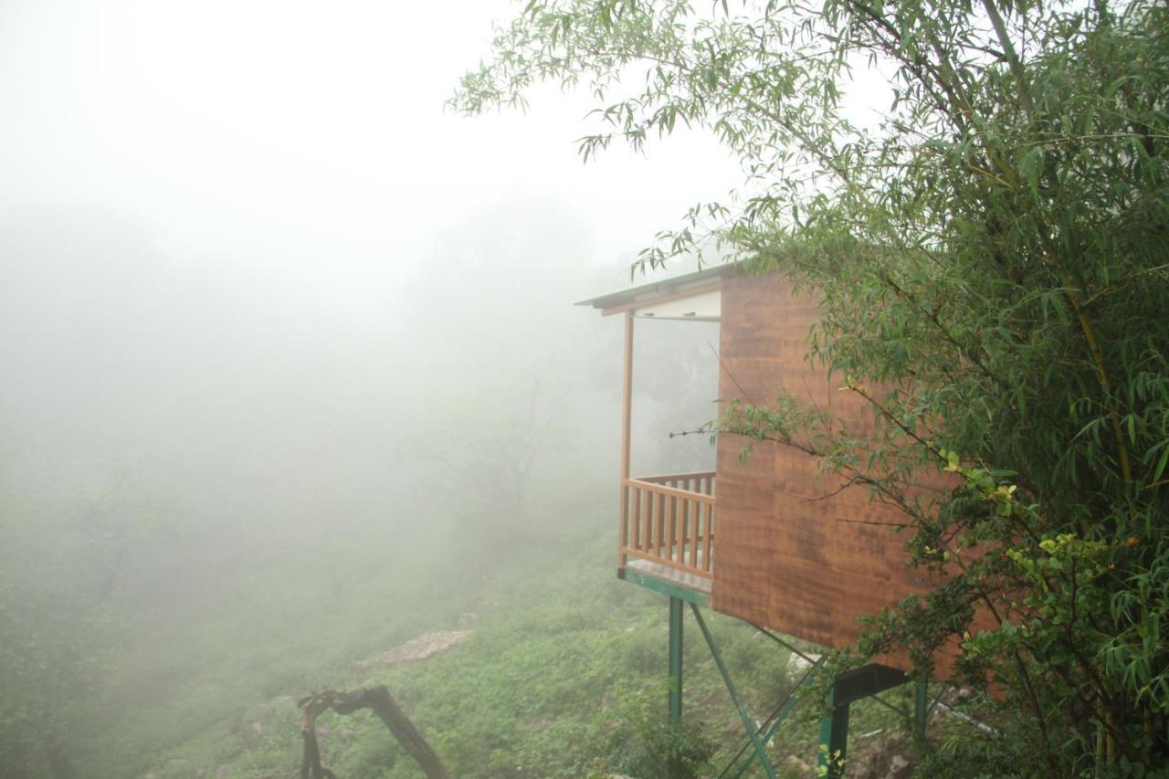 Forest Eco Lodge مونت ابو المظهر الخارجي الصورة