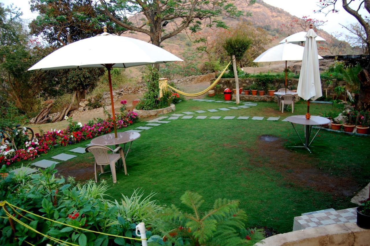 Forest Eco Lodge مونت ابو المظهر الخارجي الصورة