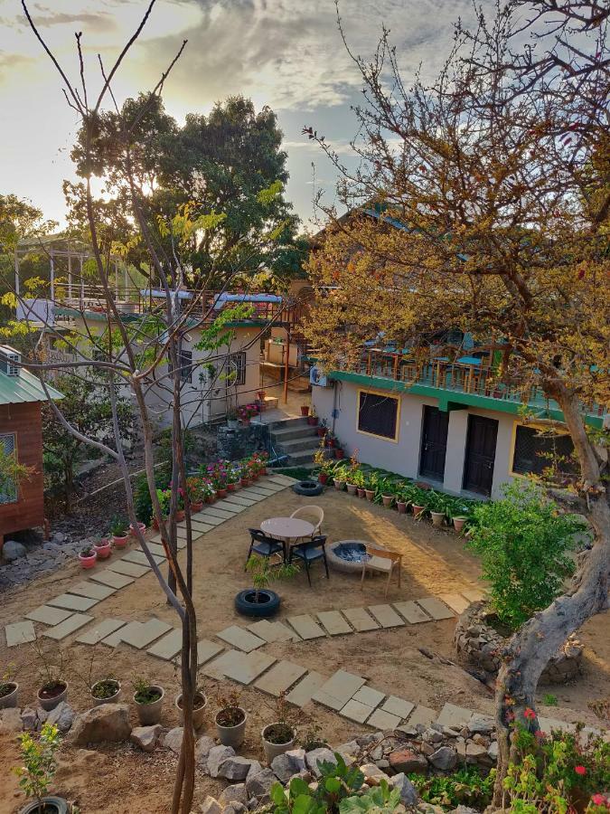 Forest Eco Lodge مونت ابو المظهر الخارجي الصورة