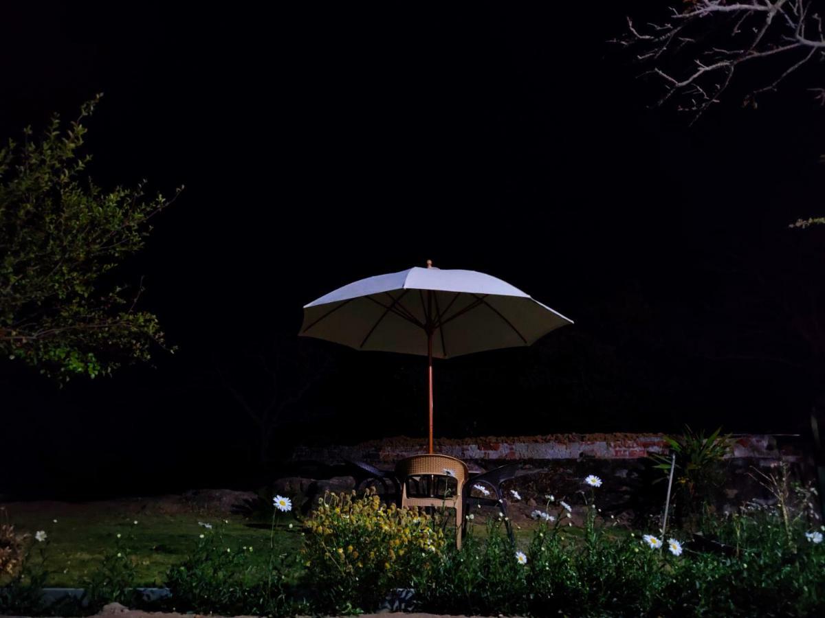 Forest Eco Lodge مونت ابو المظهر الخارجي الصورة