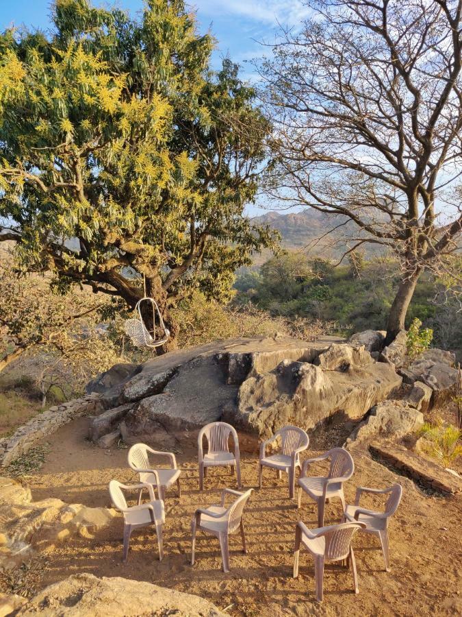 Forest Eco Lodge مونت ابو المظهر الخارجي الصورة
